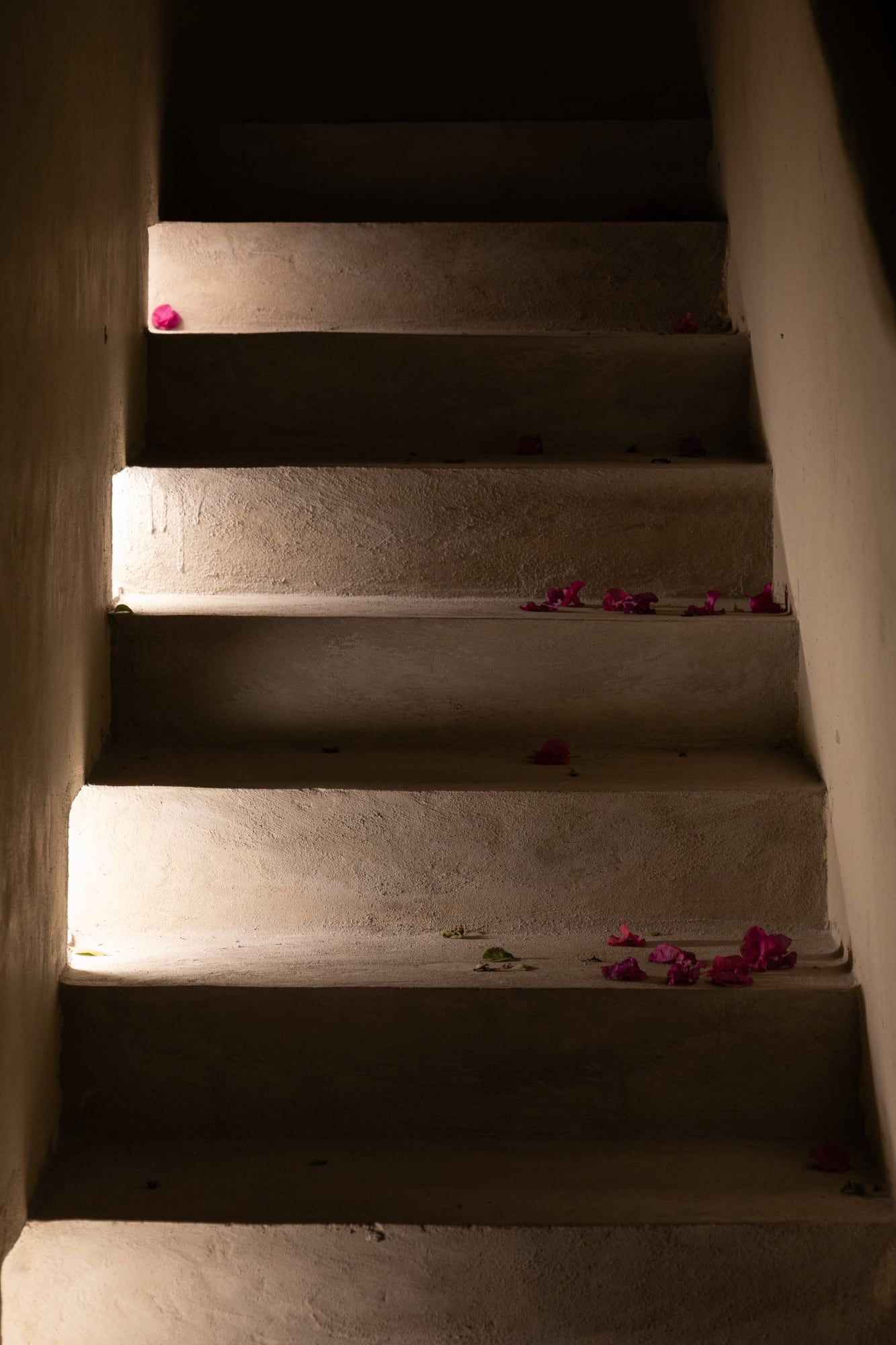 Escalera con pétalos de bugambilia